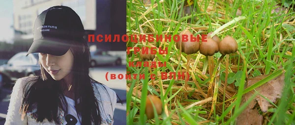 прущий лед Алексеевка