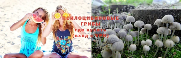 гидра Снежинск
