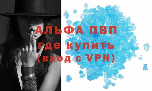 стафф Абинск