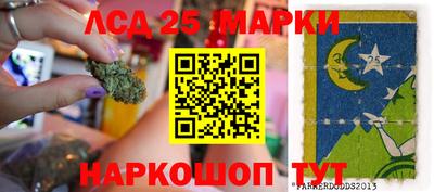 гашик Бийск