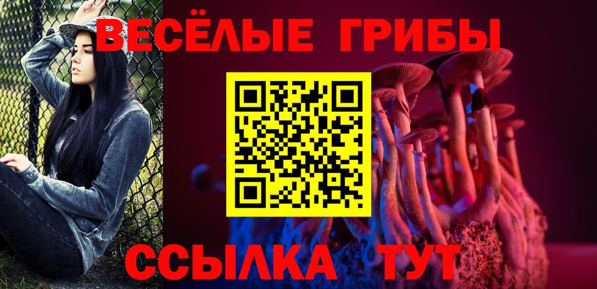 Псилоцибиновые грибы Magic Shrooms  Вход с VPN  где можно купить   Богородск 